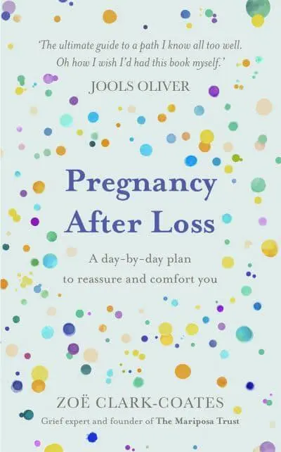 Pregnancy After Loss A Day by Day Plan to Reas